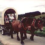 Covered wagon tour