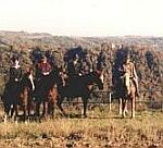 Station d'excursions à cheval Pabst
